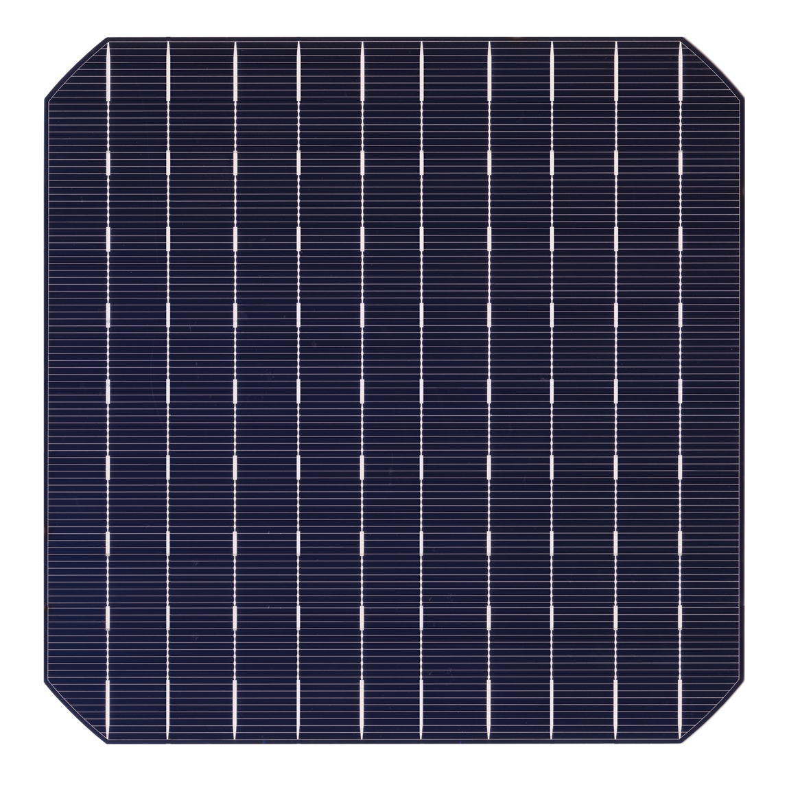  CSG High efficiency Solar cell 10BB fillet S-PERC Cell